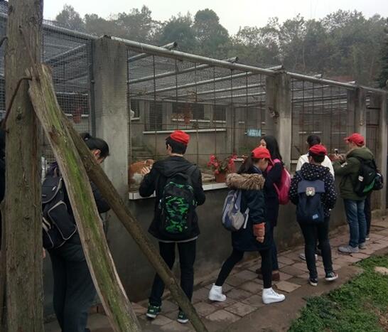 QQ鎴浘20161206113130.jpg QQ鎴浘20161206113130.jpg