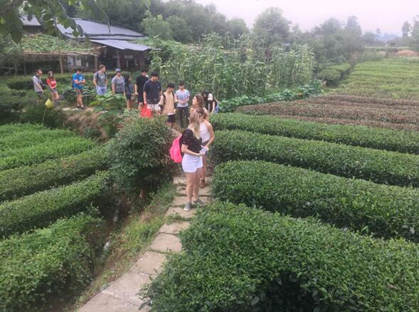 QQ截图20170705114853.jpg